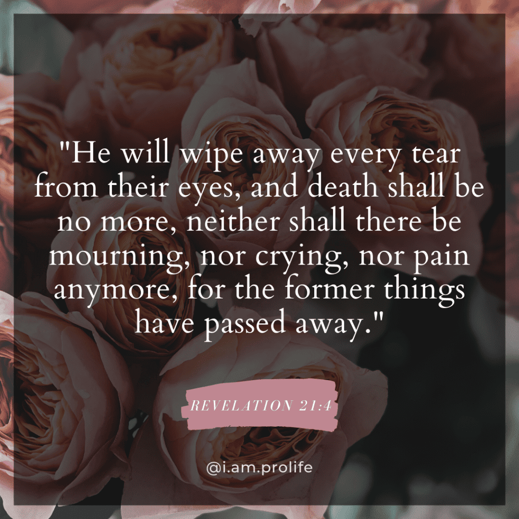 flowers with Bible verse on top Revelations 21:4 to help create a thoughtful