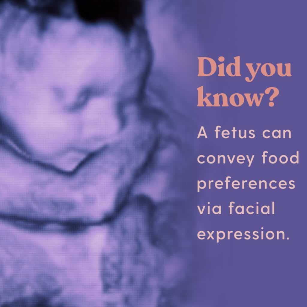 "When can a fetus feel pain" graphic of an ultrasound with a fact that says a fetus can convey food preferences via facial expression.